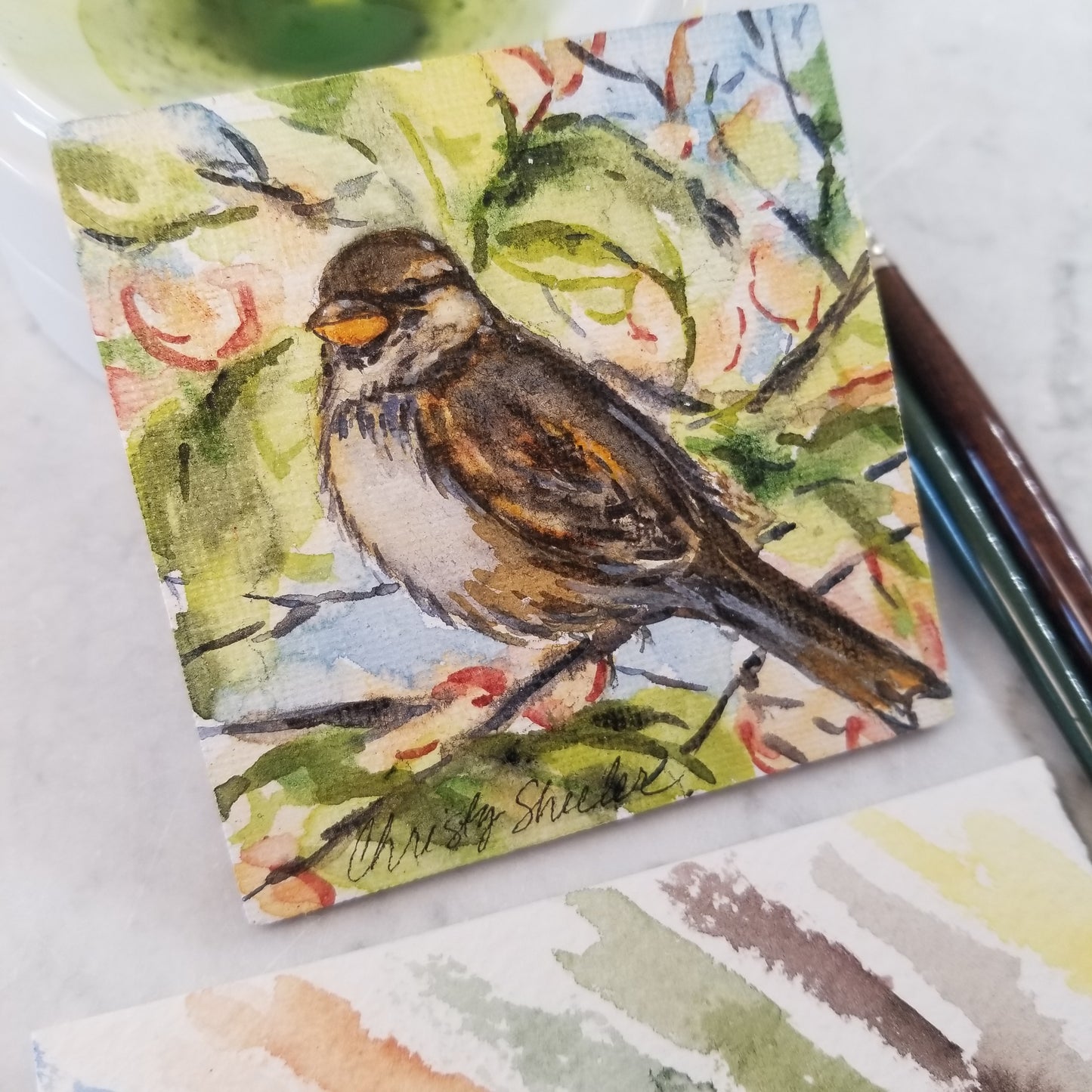Hand Painted Watercolor Magnets