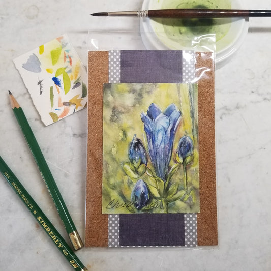 Blue Gentian Miniature