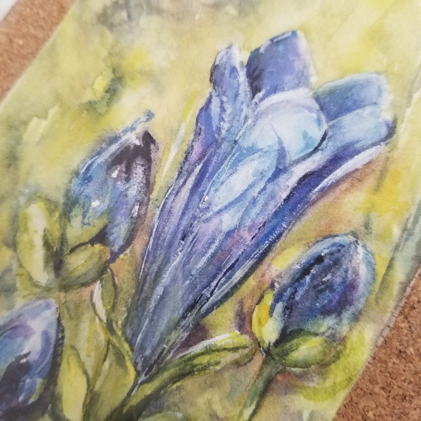 Blue Gentian Miniature