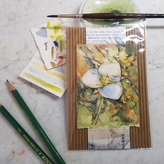 Lily Miniature