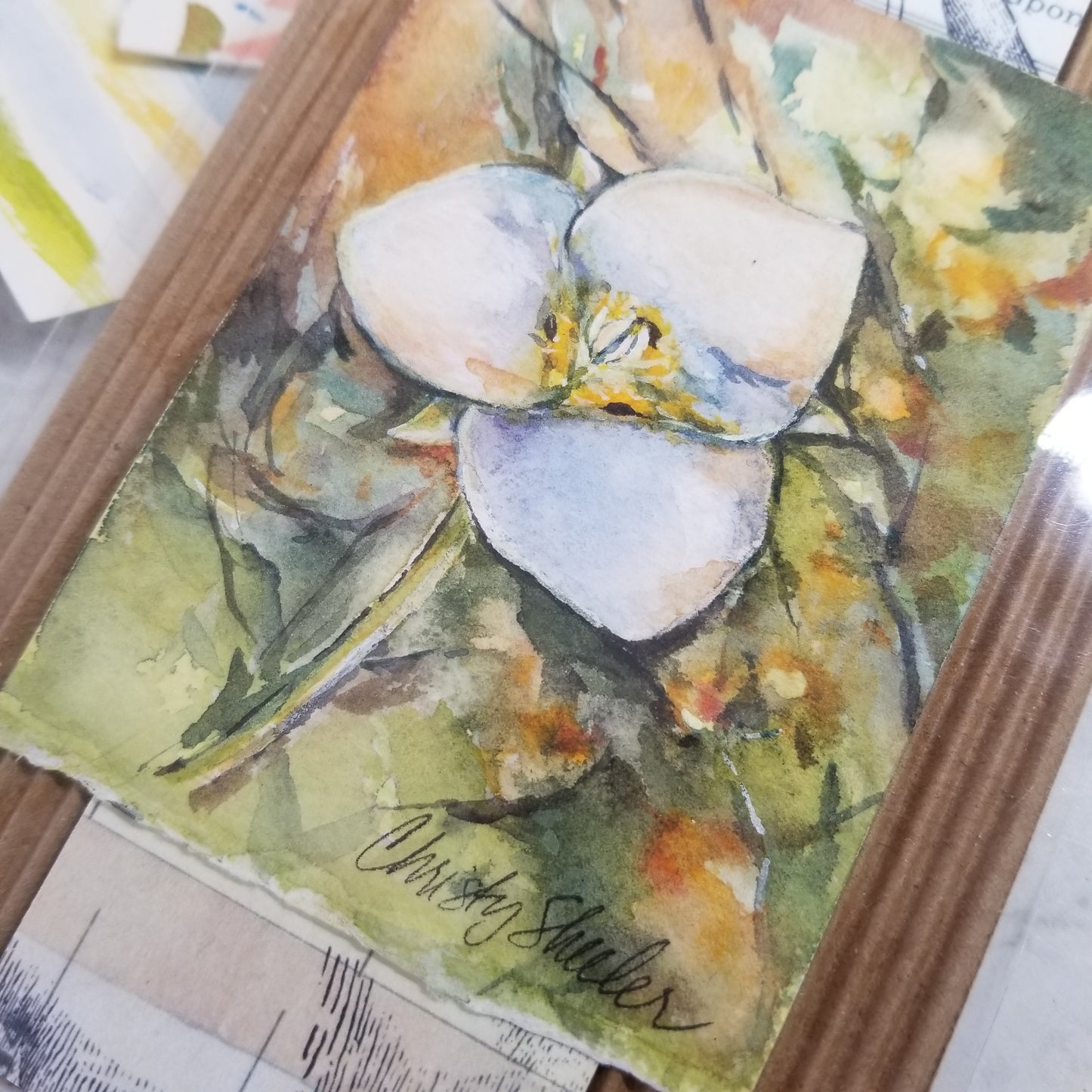 Lily Miniature