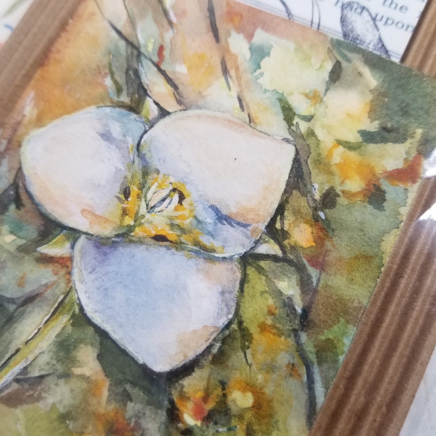Lily Miniature