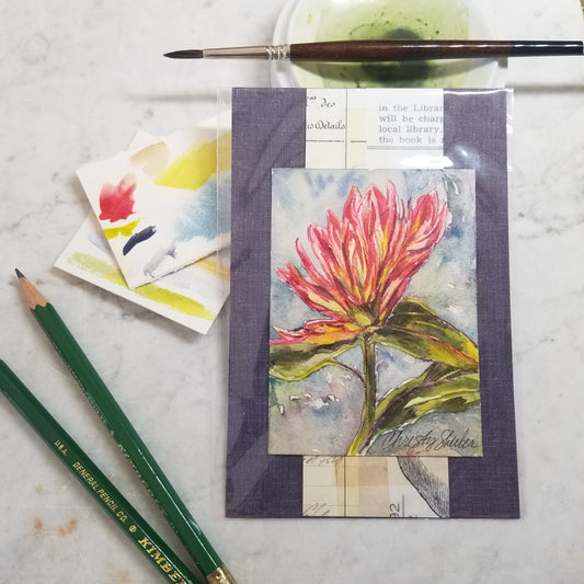 Indian Paintbrush 1 Miniature
