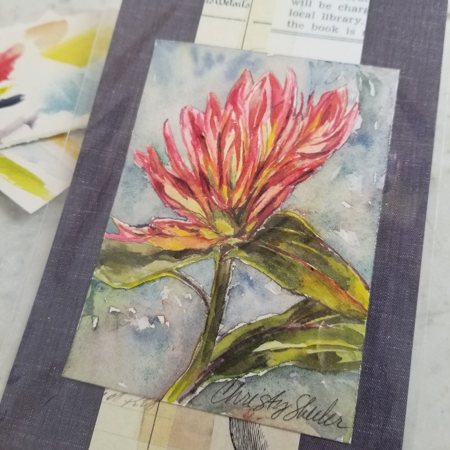 Indian Paintbrush 1 Miniature