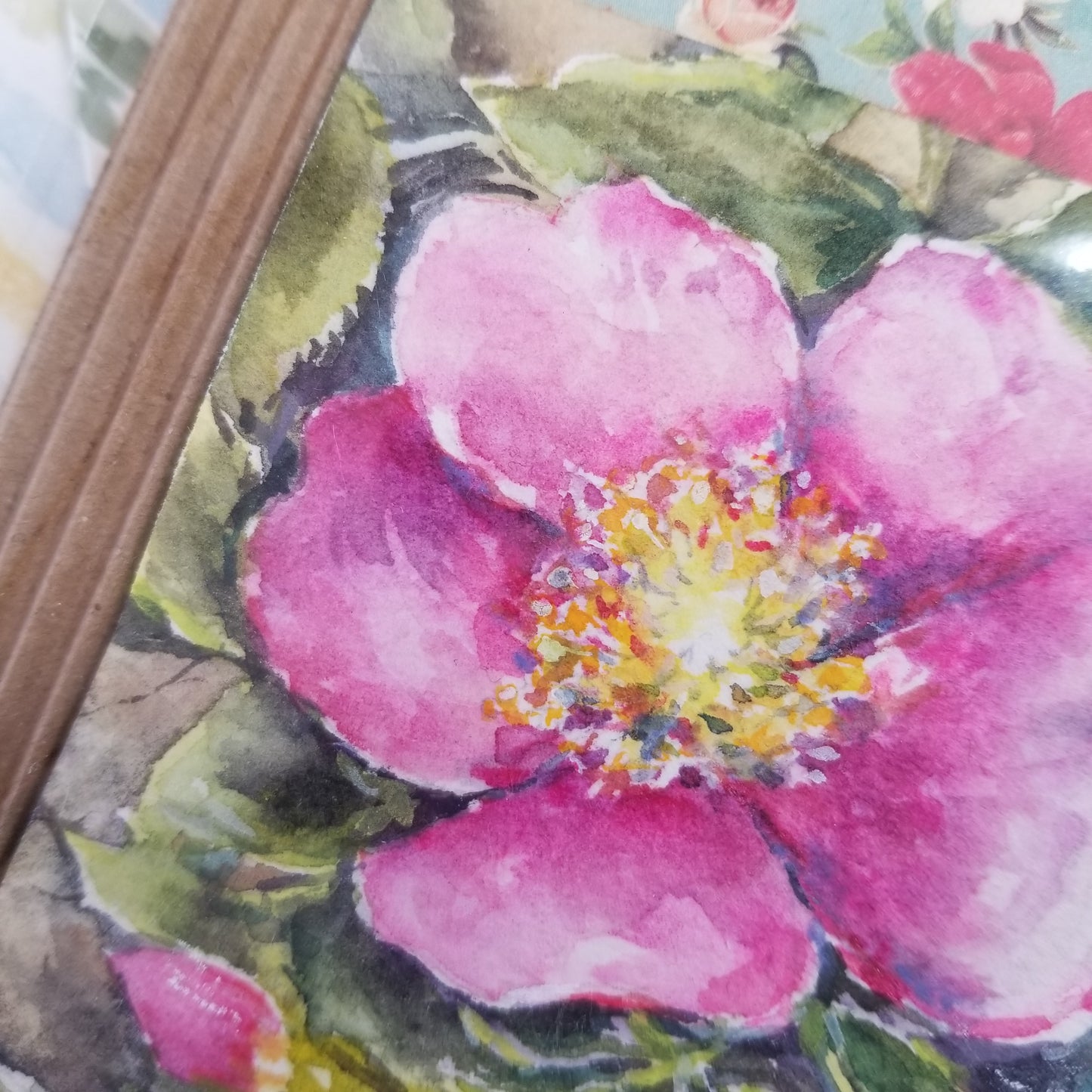 Wild Rose Miniature