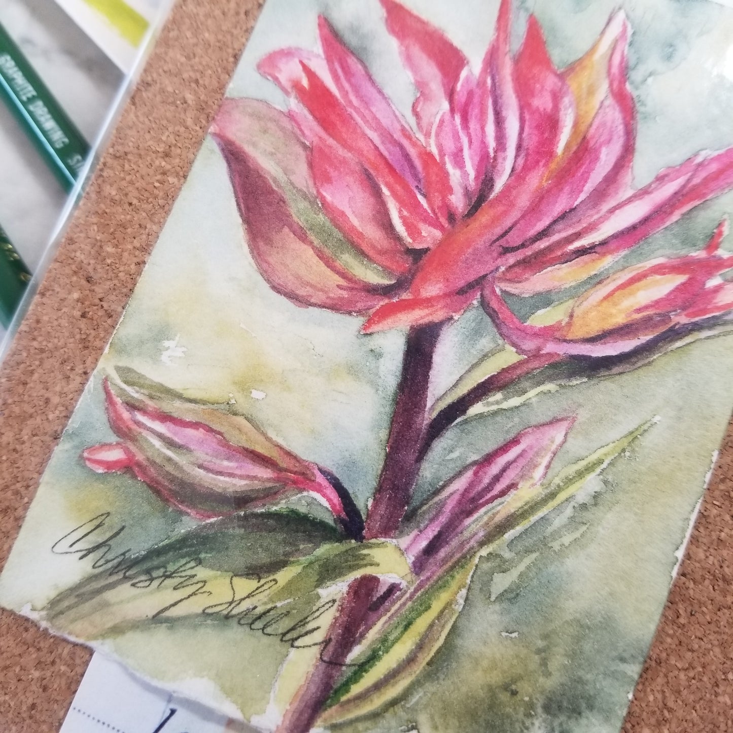 Indian Paintbrush 2 Miniature