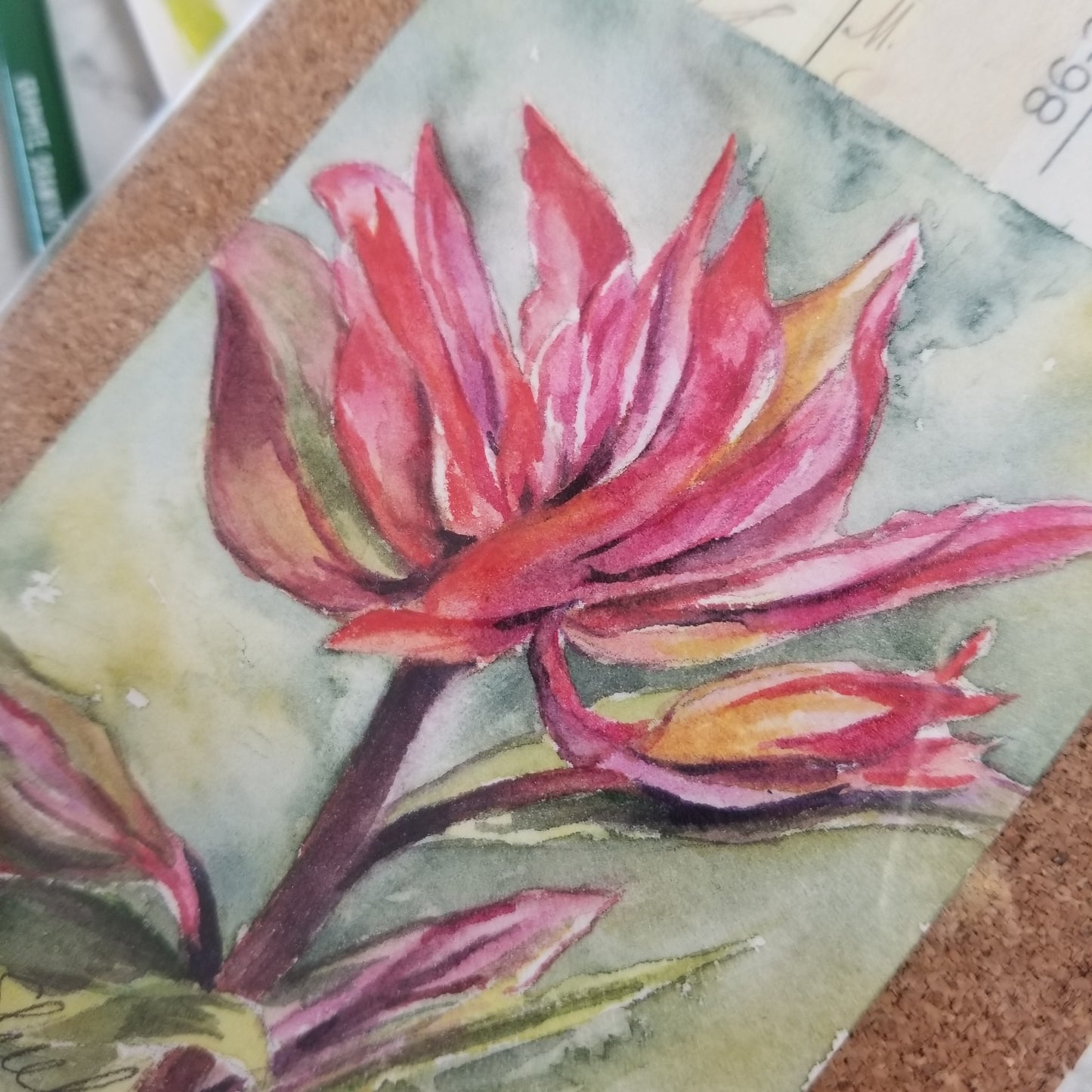 Indian Paintbrush 2 Miniature