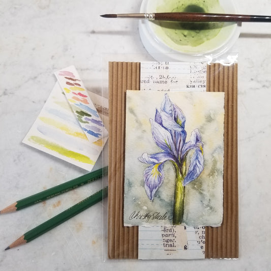 Iris 1 Miniature