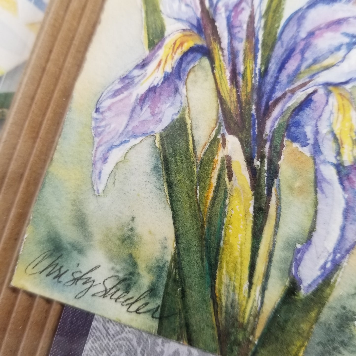 Iris 2 Miniature