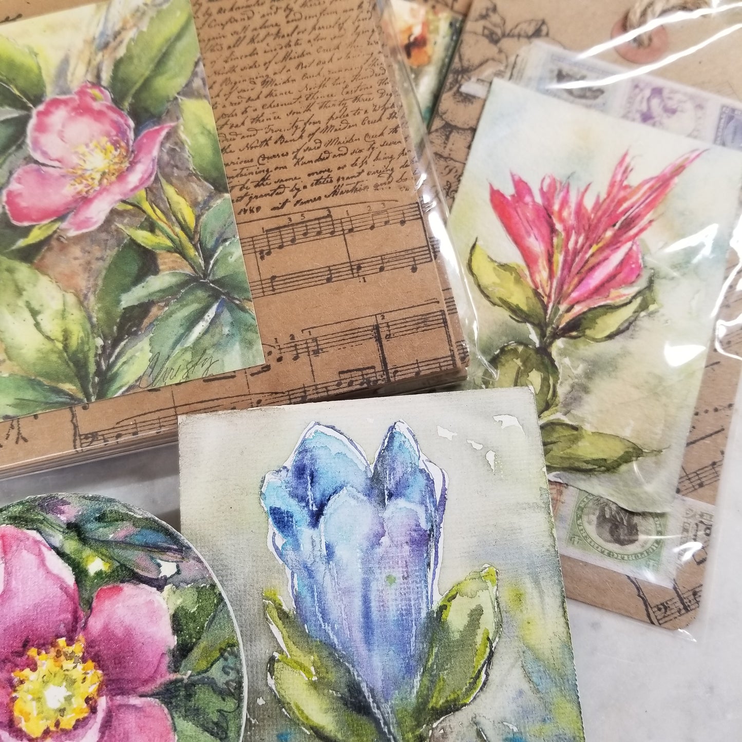 Wildflowers Bundle 1
