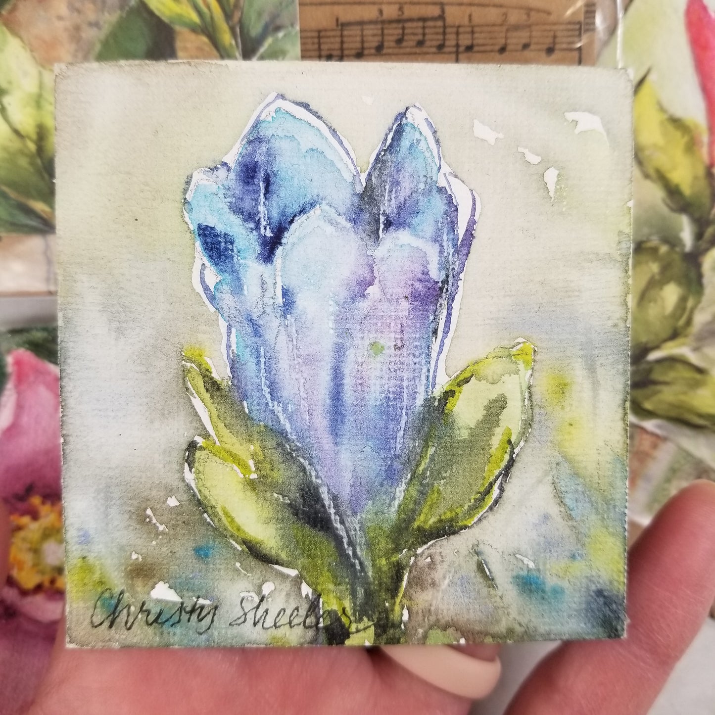 Wildflowers Bundle 1