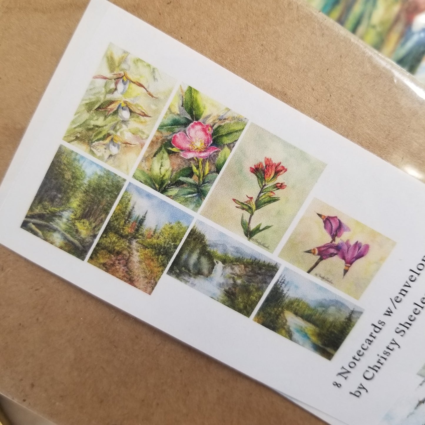 Wildflowers Bundle 1