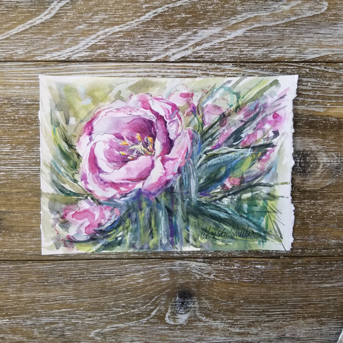Purple Tulip II