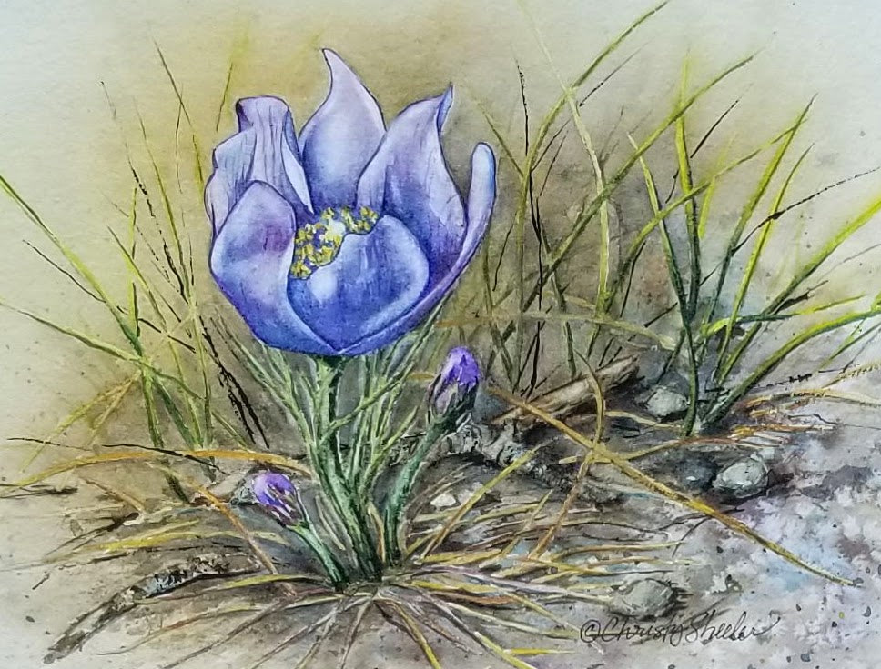 Crocus Facing Upward