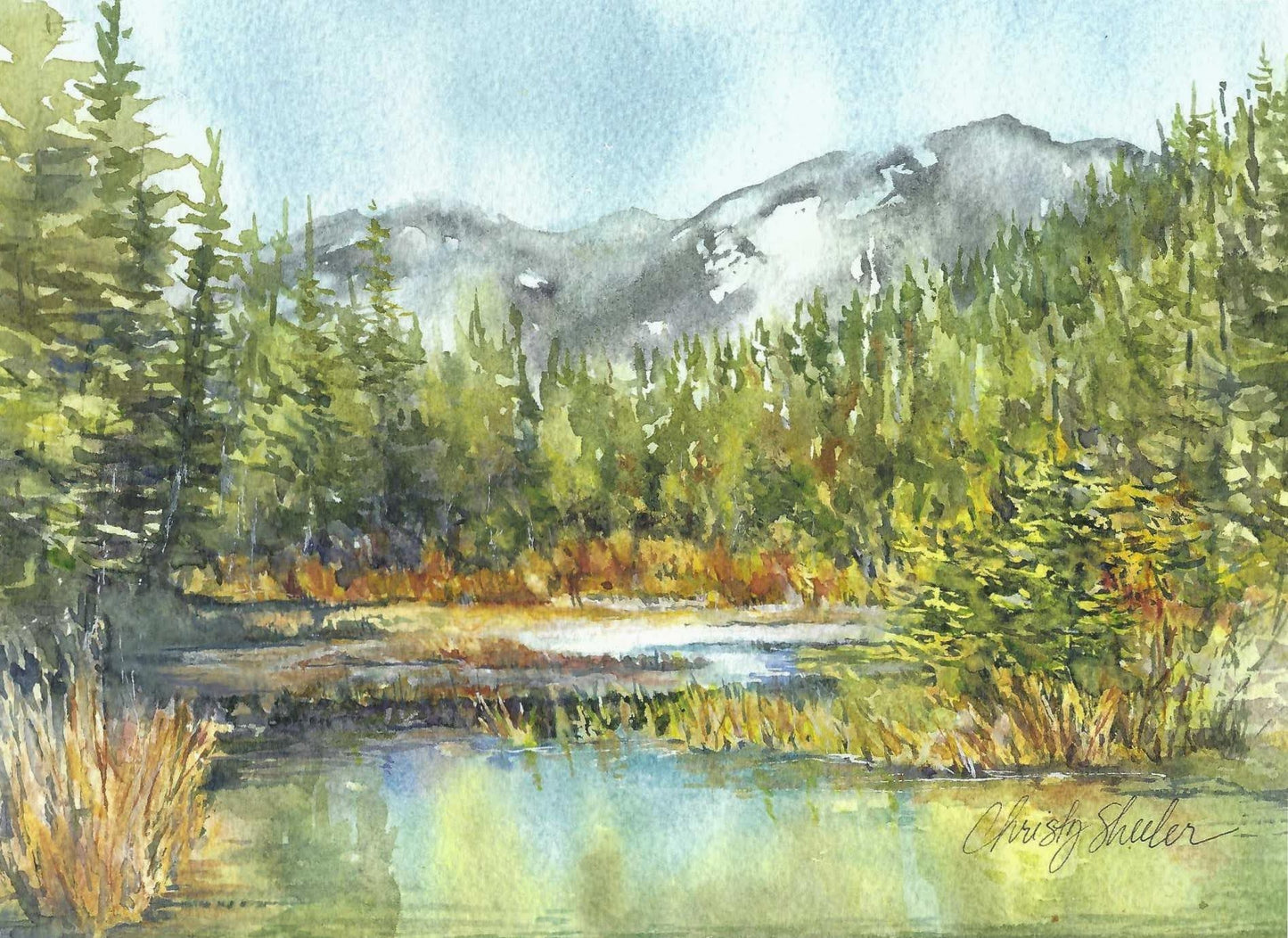 Beaver Dams So Serene
