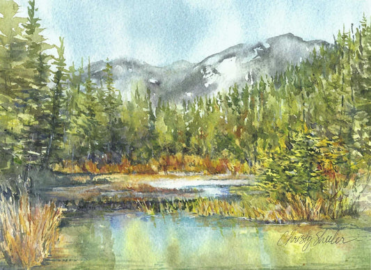 Beaver Dams So Serene