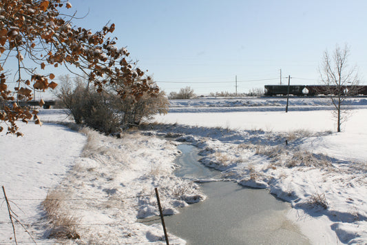 Winter landscape for art reference